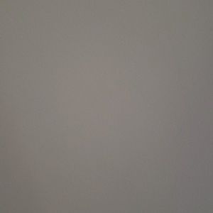 Meet your Posher, Daryl